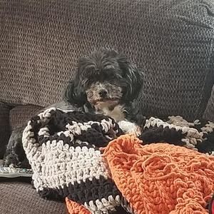 Meet your Posher, Teresa